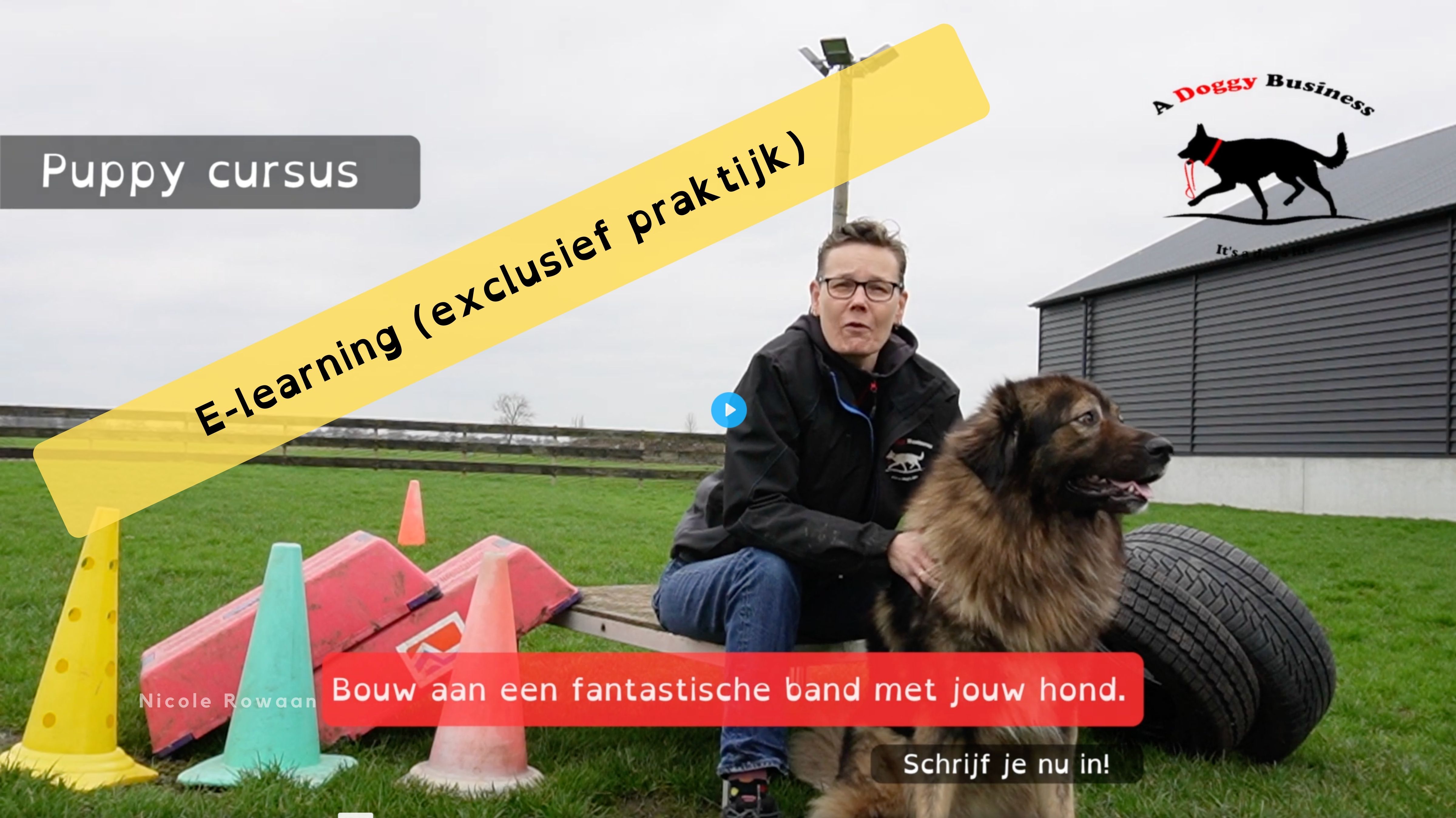 Puppy cursus E-Learning door: A Doggy Business