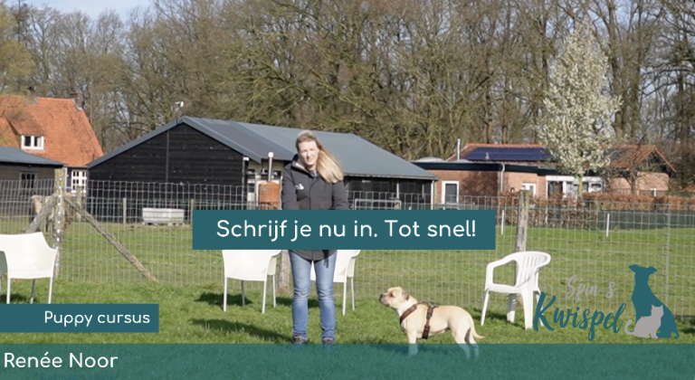 Puppy cursus E-learning