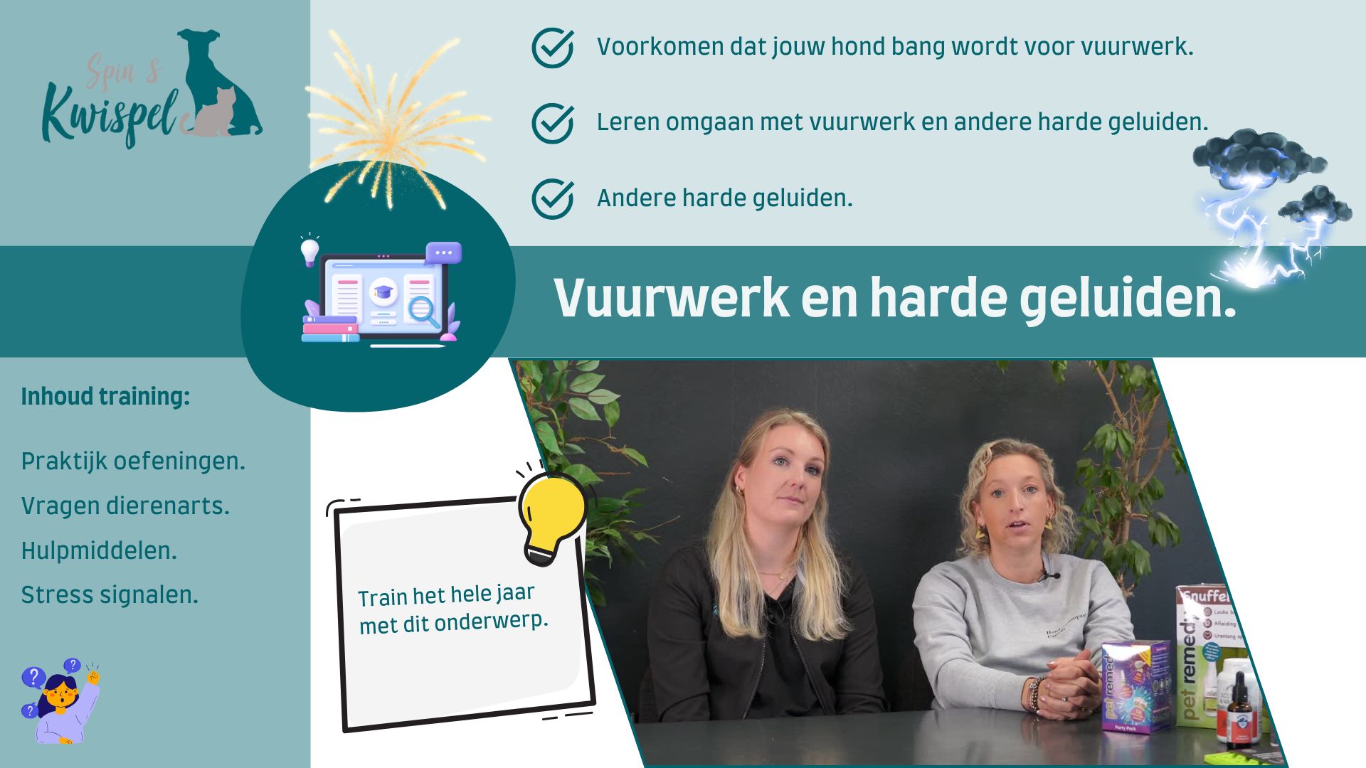 Vuurwerk E-learning Spin en Kwispel