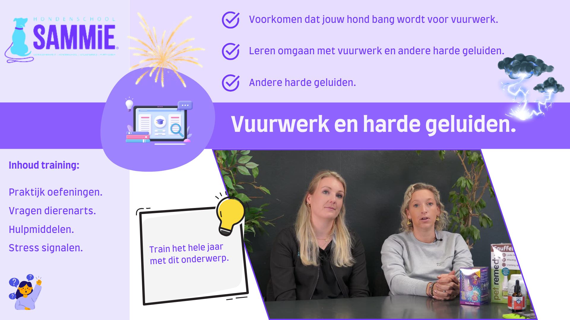 Vuurwerk E-learning Sammie