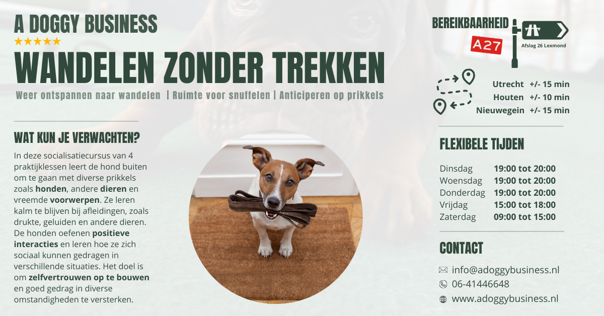 Wandelen zonder trekken.